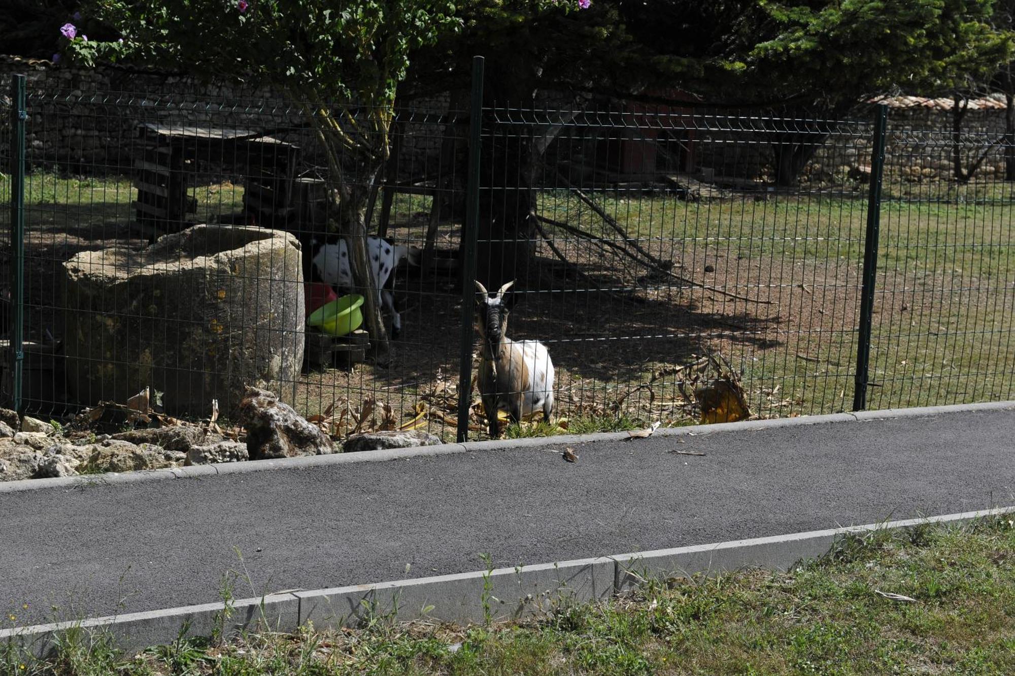 Jardin-darcy Appartement